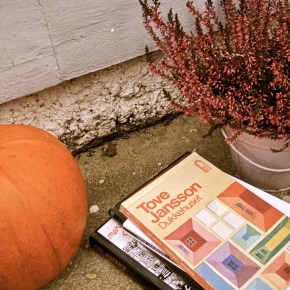 Kysely: Mikä kiinnostaa?