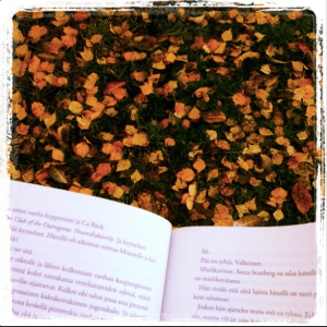 Kuva: Reeta / Les! Lue!