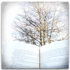 Ja lahjakortin voittaa…