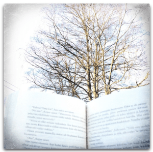 Kuva: Reeta / Les! Lue!